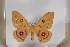  ( - BC-TB5503)  @15 [ ] Copyright (2010) Unspecified Research Collection of Thierry Bouyer
