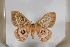  ( - BC-TB5510)  @13 [ ] Copyright (2010) Unspecified Research Collection of Thierry Bouyer