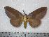  ( - BC-Dec0259)  @13 [ ] Copyright (2010) Unspecified Research Collection of Thibaud Decaens