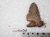 ( - BC-Dec0345)  @13 [ ] Copyright (2010) Unspecified Research Collection of Thibaud Decaens