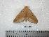  ( - BC-Dec0352)  @13 [ ] Copyright (2010) Unspecified Research Collection of Thibaud Decaens