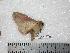  ( - BC-Dec0353)  @13 [ ] Copyright (2010) Unspecified Research Collection of Thibaud Decaens