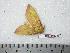  ( - BC-Dec0357)  @13 [ ] Copyright (2010) Unspecified Research Collection of Thibaud Decaens