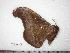  ( - BC-Dec0373)  @13 [ ] Copyright (2010) Unspecified Research Collection of Thibaud Decaens