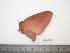  ( - BC-Dec0399)  @13 [ ] Copyright (2010) Unspecified Research Collection of Thibaud Decaens