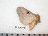  ( - BC-Dec0435)  @12 [ ] Copyright (2010) Unspecified Research Collection of Thibaud Decaens