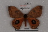  ( - BC-Dec1906)  @11 [ ] CreativeCommons - Attribution Non-Commercial Share-Alike (2014) ECODIV Univ Rouen