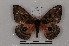  ( - BC-Dec1920)  @13 [ ] CreativeCommons - Attribution Non-Commercial Share-Alike (2014) ECODIV Univ Rouen