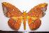  ( - BC-Dec1253)  @14 [ ] Copyright (2010) Unspecified Research Collection of Thibaud Decaens