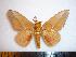  ( - BC-Dec1316)  @14 [ ] Copyright (2010) Unspecified Research Collection of Thibaud Decaens