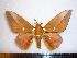  ( - BC-Dec1317)  @14 [ ] Copyright (2010) Unspecified Research Collection of Thibaud Decaens