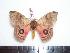  ( - BC-Dec1350)  @12 [ ] Copyright (2010) Unspecified Research Collection of Thibaud Decaens