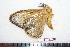  ( - BC-Dec1359)  @12 [ ] Copyright (2010) Unspecified Research Collection of Thibaud Decaens