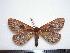  ( - BC-Dec1361)  @14 [ ] Copyright (2010) Unspecified Research Collection of Thibaud Decaens