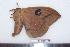  ( - BC-Dec1394)  @12 [ ] Copyright (2010) Unspecified Research Collection of Thibaud Decaens