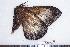  ( - BC-Dec1395)  @12 [ ] Copyright (2010) Unspecified Research Collection of Thibaud Decaens