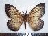  ( - BC-Dec1396)  @13 [ ] Copyright (2010) Unspecified Research Collection of Thibaud Decaens