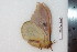  ( - BC-Dec1460)  @12 [ ] Copyright (2010) Unspecified Research Collection of Thibaud Decaens
