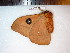 ( - BC-Dec1466)  @12 [ ] Copyright (2010) Unspecified Research Collection of Thibaud Decaens