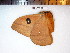  ( - BC-Dec1469)  @12 [ ] Copyright (2010) Unspecified Research Collection of Thibaud Decaens