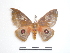  ( - BC-Dec1471)  @13 [ ] Copyright (2010) Unspecified Research Collection of Thibaud Decaens