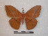  ( - BC-Dec1477)  @14 [ ] Copyright (2010) Unspecified Research Collection of Thibaud Decaens