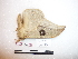  ( - BC-Dec1528)  @11 [ ] Copyright (2010) Unspecified Research Collection of Thibaud Decaens