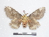  ( - BC-Dec1534)  @12 [ ] Copyright (2010) Unspecified Research Collection of Thibaud Decaens