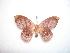  ( - BC-Dec0967)  @13 [ ] Copyright (2010) Unspecified Research Collection of Thibaud Decaens