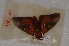  ( - BC-INCT1126)  @13 [ ] CreativeCommons - Attribution Non-Commercial Share-Alike (2014) ECODIV Univ Rouen