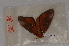  ( - BC-INCT1127)  @13 [ ] CreativeCommons - Attribution Non-Commercial Share-Alike (2014) ECODIV Univ Rouen