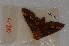  ( - BC-INCT1135)  @12 [ ] CreativeCommons - Attribution Non-Commercial Share-Alike (2014) ECODIV Univ Rouen