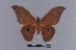  ( - BC-Dec2001)  @11 [ ] CreativeCommons - Attribution Non-Commercial Share-Alike (2019) Thibaud Decaëns Universite Montpellier, CEFE Lab