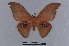  ( - BC-Dec2002)  @11 [ ] CreativeCommons - Attribution Non-Commercial Share-Alike (2019) Thibaud Decaëns Universite Montpellier, CEFE Lab