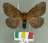  ( - CGCM 49685)  @11 [ ] by-nc-sa (2024) Carlos G.C. Mielke University of Curitiba
