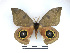  ( - BC-Dec2322)  @11 [ ] by-nc-sa (2023) Thibaud Decaëns Universite Montpellier, CEFE Lab