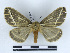  ( - BC-Dec2356)  @11 [ ] by-nc-sa (2023) Thibaud Decaëns Universite Montpellier, CEFE Lab
