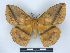  ( - BC-Dec2750)  @11 [ ] by-nc-sa (2023) Thibaud Decaëns Universite Montpellier, CEFE Lab
