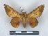  ( - BC-Dec2799)  @11 [ ] by-nc-sa (2023) Thibaud Decaëns Universite Montpellier, CEFE Lab