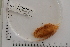  ( - BIOUG00341-G12)  @13 [ ] CreativeCommons - Attribution (2013) Rob Young / Jessmyn Niergarth Centre for Biodiversity Genomics