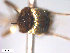  ( - BIOUG-01777-D09)  @11 [ ] CreativeCommons - Attribution (2012) CBG Photography Group Centre for Biodiversity Genomics