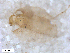  ( - BIOUG-01777-D11)  @12 [ ] CreativeCommons - Attribution (2012) CBG Photography Group Centre for Biodiversity Genomics