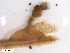  ( - BIOUG01779-A05)  @11 [ ] CreativeCommons - Attribution (2012) CBG Photography Group Centre for Biodiversity Genomics