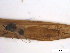  ( - BIOUG01779-B01)  @11 [ ] CreativeCommons - Attribution (2012) CBG Photography Group Centre for Biodiversity Genomics