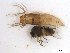  ( - BIOUG01779-B08)  @11 [ ] CreativeCommons - Attribution (2012) CBG Photography Group Centre for Biodiversity Genomics
