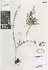  ( - QC2231A-1)  @11 [ ] CreativeCommons  Attribution Non-Commercial Share-Alike (2022) Unspecified Beaty Biodiversity Museum