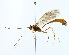  ( - NJBC163)  @11 [ ] CreativeCommons  Attribution Non-Commercial Share-Alike (2146) Niklas Johansson Swedish University of Agricultural Sciences