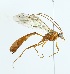  ( - NJBC 187)  @15 [ ] CreativeCommons  Attribution Non-Commercial Share-Alike (2017) Niklas Johansson Swedish University of Agricultural Sciences