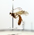  ( - NJBC19)  @11 [ ] CreativeCommons  Attribution Non-Commercial Share-Alike (2017) Niklas Johansson Swedish University of Agricultural Sciences