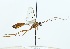  ( - NJBC 201)  @11 [ ] CreativeCommons  Attribution Non-Commercial Share-Alike (2017) Niklas Johansson Swedish University of Agricultural Sciences